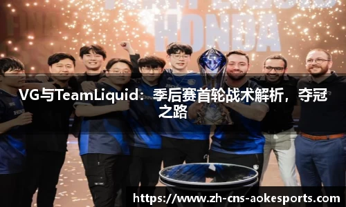 VG与TeamLiquid:季后赛首轮战术解析,夺冠之路